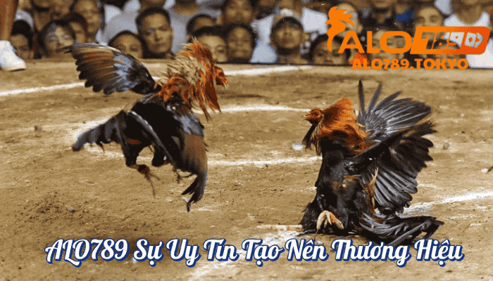 ALO789 Sự Uy Tín Tạo Nên Thương Hiệu